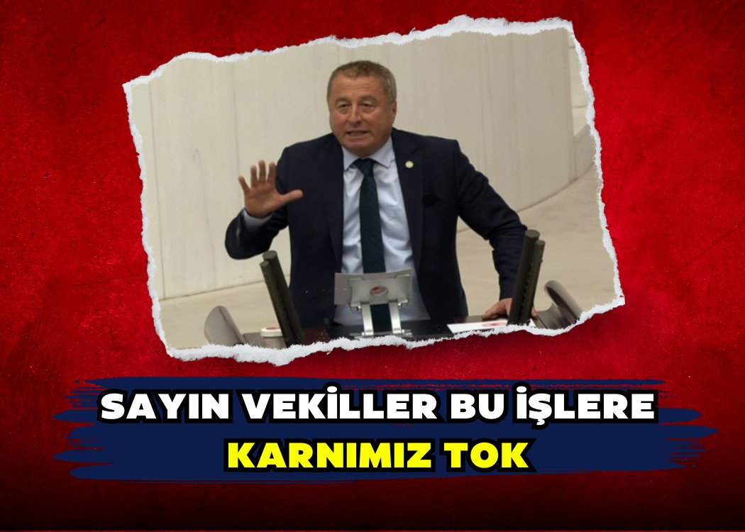 SAYIN VEKİLLER BU İŞLERE KARNIMIZ TOK